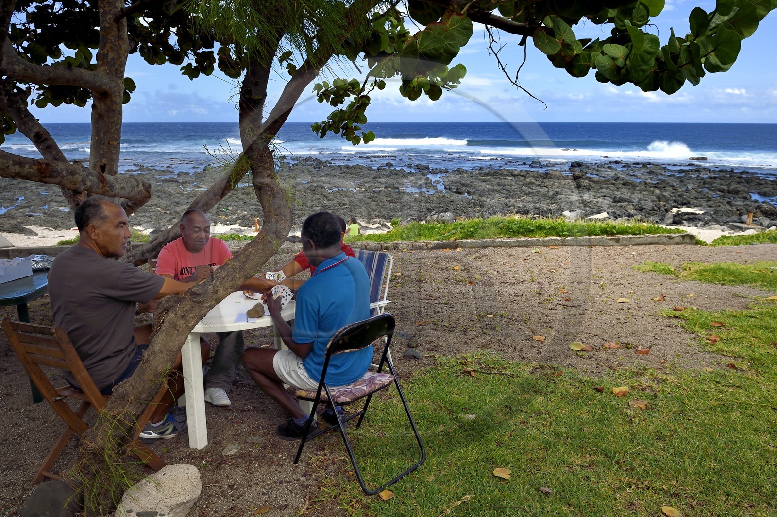 France, Ile de la Reunion, Grand Bois, partie de carte du dimanche en bordure de mer