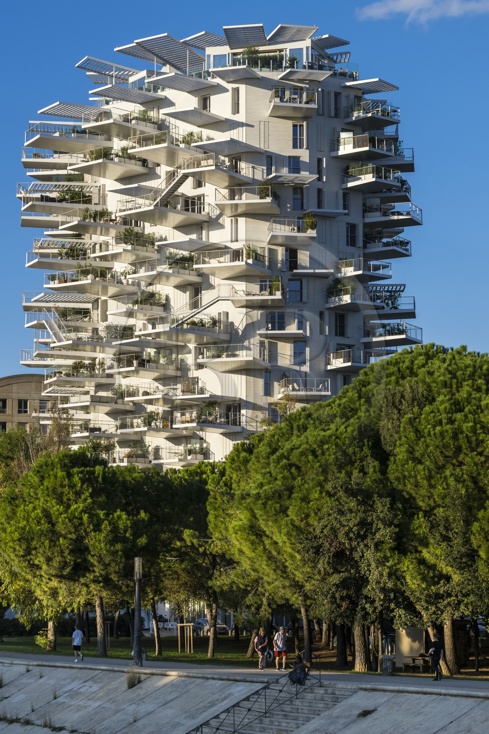France, Hérault (34), Montpellier, quartier Richter, les rives du Lez, l'immeuble L'Arbre Blanc, réalisé par l'architecte japonais Sou Foujimoto avec les architectes français Nicolas Laisné et Manal Rachdi