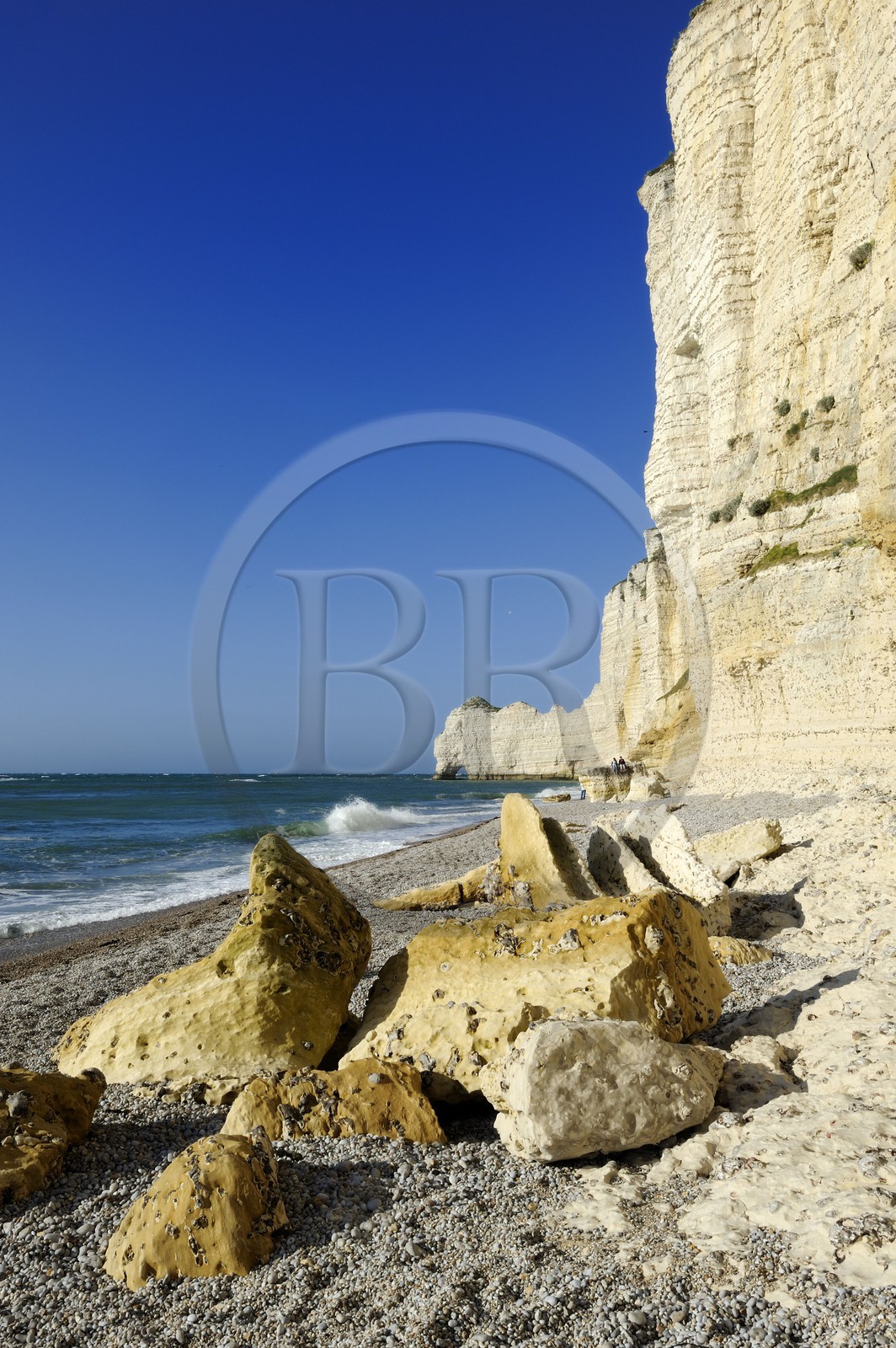 France, Seine-Maritime, Pays de Caux, Cote d'Albatre, Etretat, Amont cliff