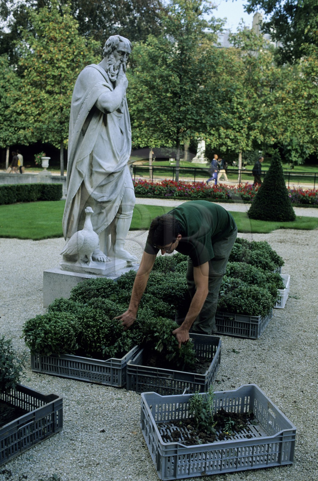 France, Paris (75), jardin du Luxembourg, mise en place des parterres