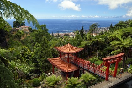 Portugal, Madeira Island, Funchal, the Monte Palace tropical garden