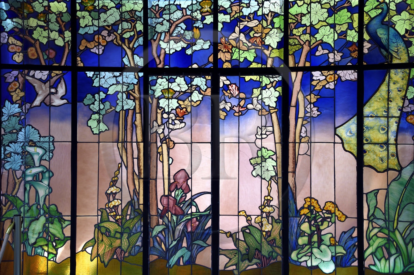 France, Meurthe-et-Moselle (54), Nancy, musée de l'Ecole de Nancy dans l'ancienne propriété d'Eugène Corbin, éléments centraux du vitrail de la véranda La Salle et Colombe et Paon vers 1904 de Jacques Gruber