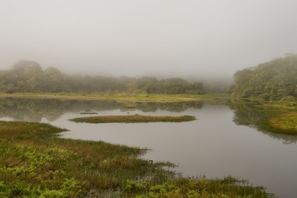Panama, l'isthme de Panama entre Panama City et Colon le long de la ligne de train de la Panama Canal Railway