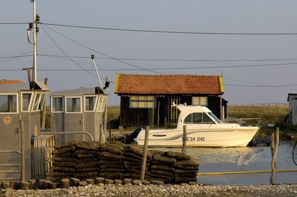 France, Charente-Maritime (17), bassin de Marennes-Oléron, La Tremblade, port de la grève