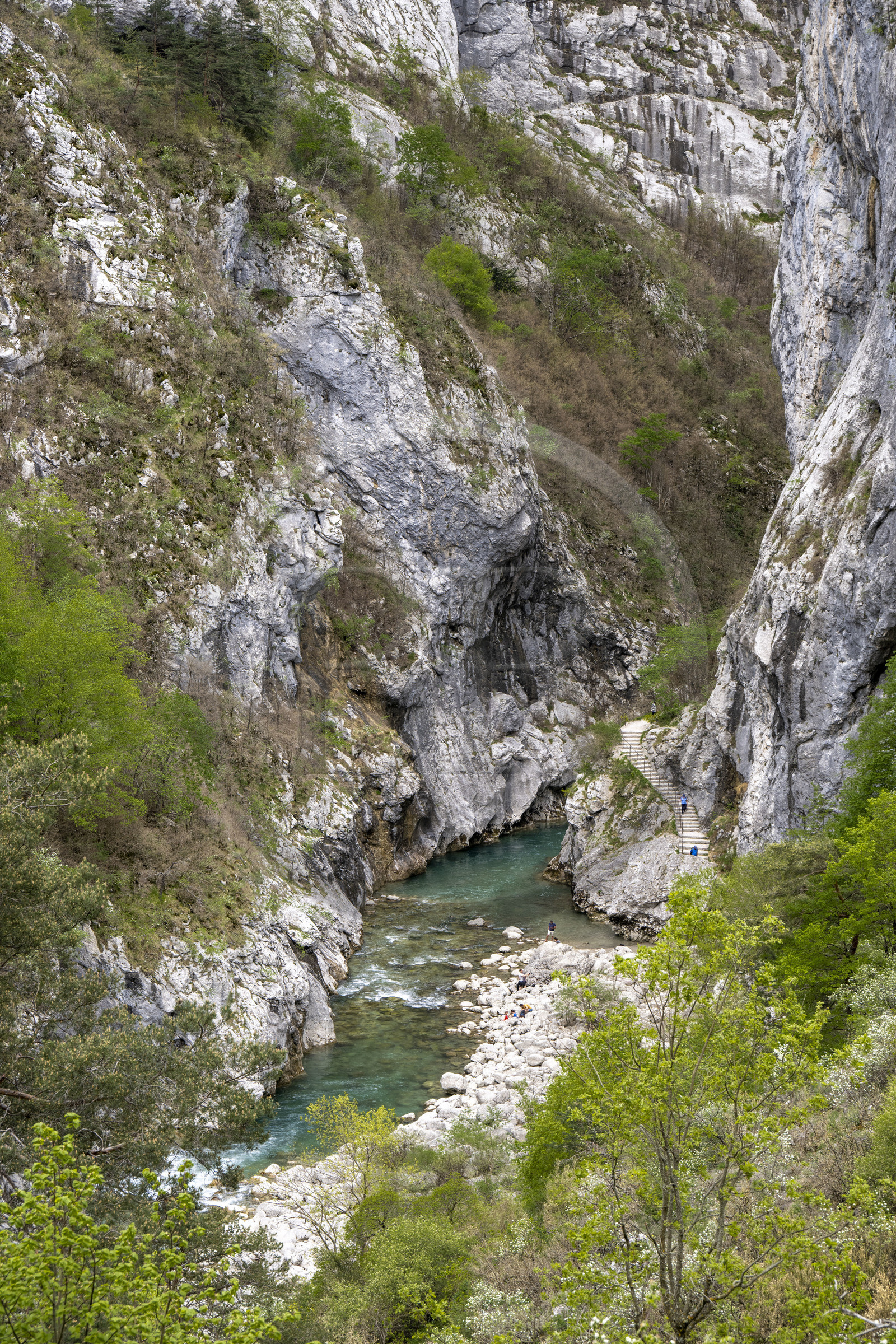 France, Alpes-de-Haute-Provence (04), Parc Naturel Régional du Verdon, Rougon, Grand Canyon du Verdon, la rivière du Verdon dans le couloir Samson et le début du sentier Blanc-Martel sur le GR4