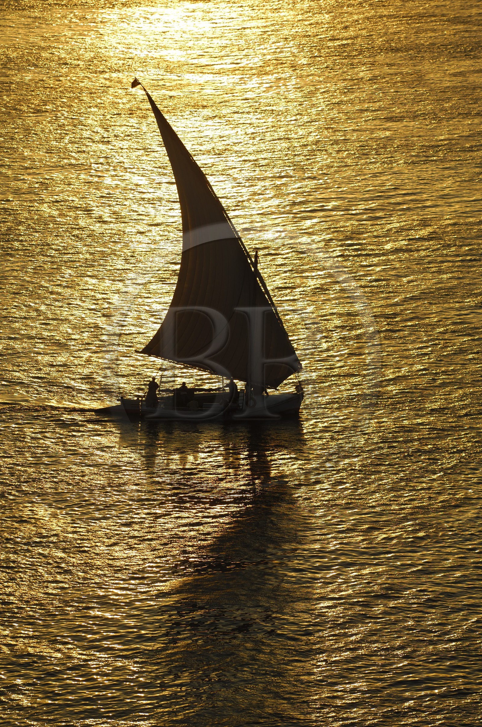 Egypt, Upper Egypt, Nile Valley, Luxor, felucca on the Nile