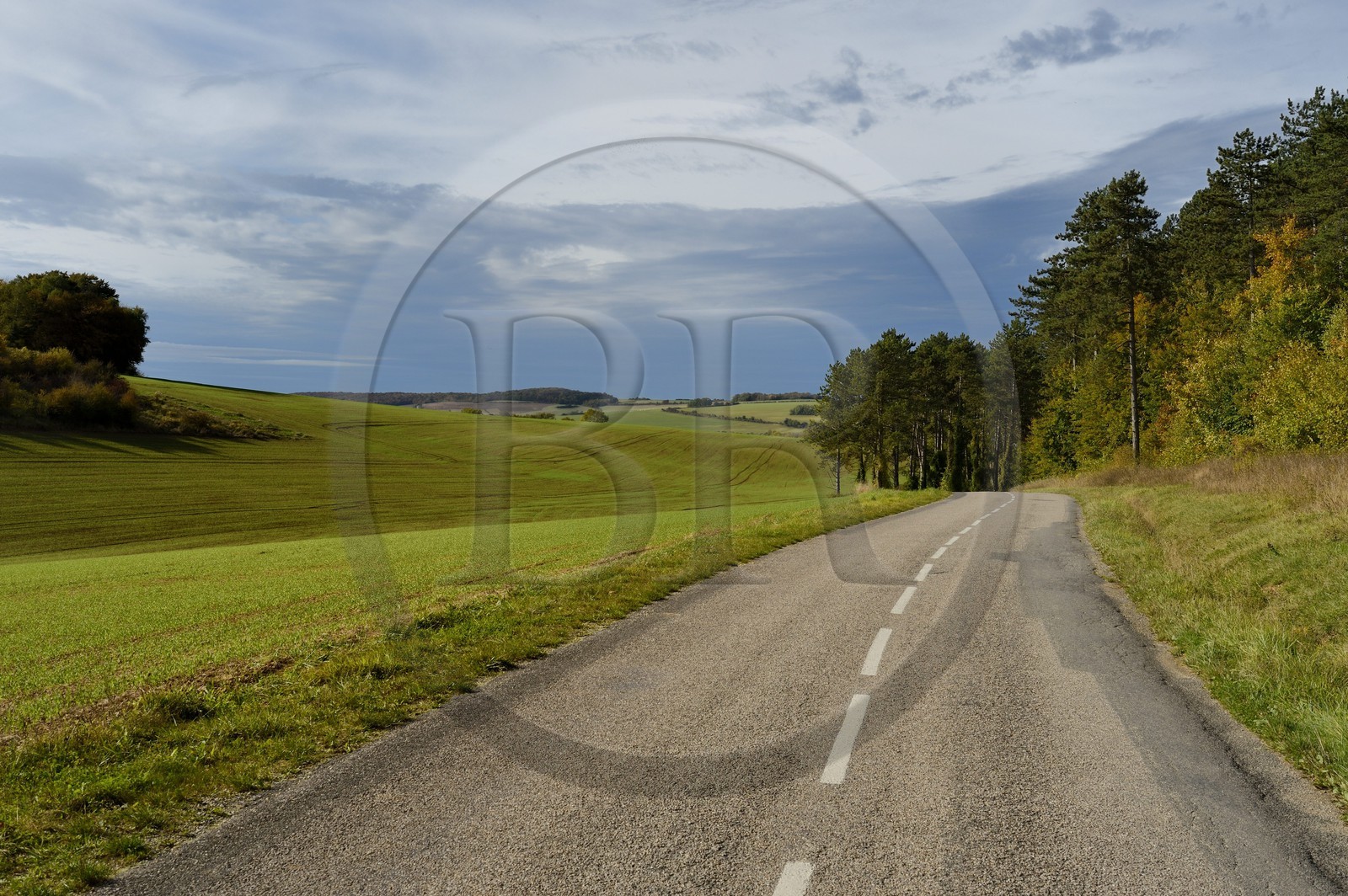 France, Meuse, region of Verdun, the secondary road D913B