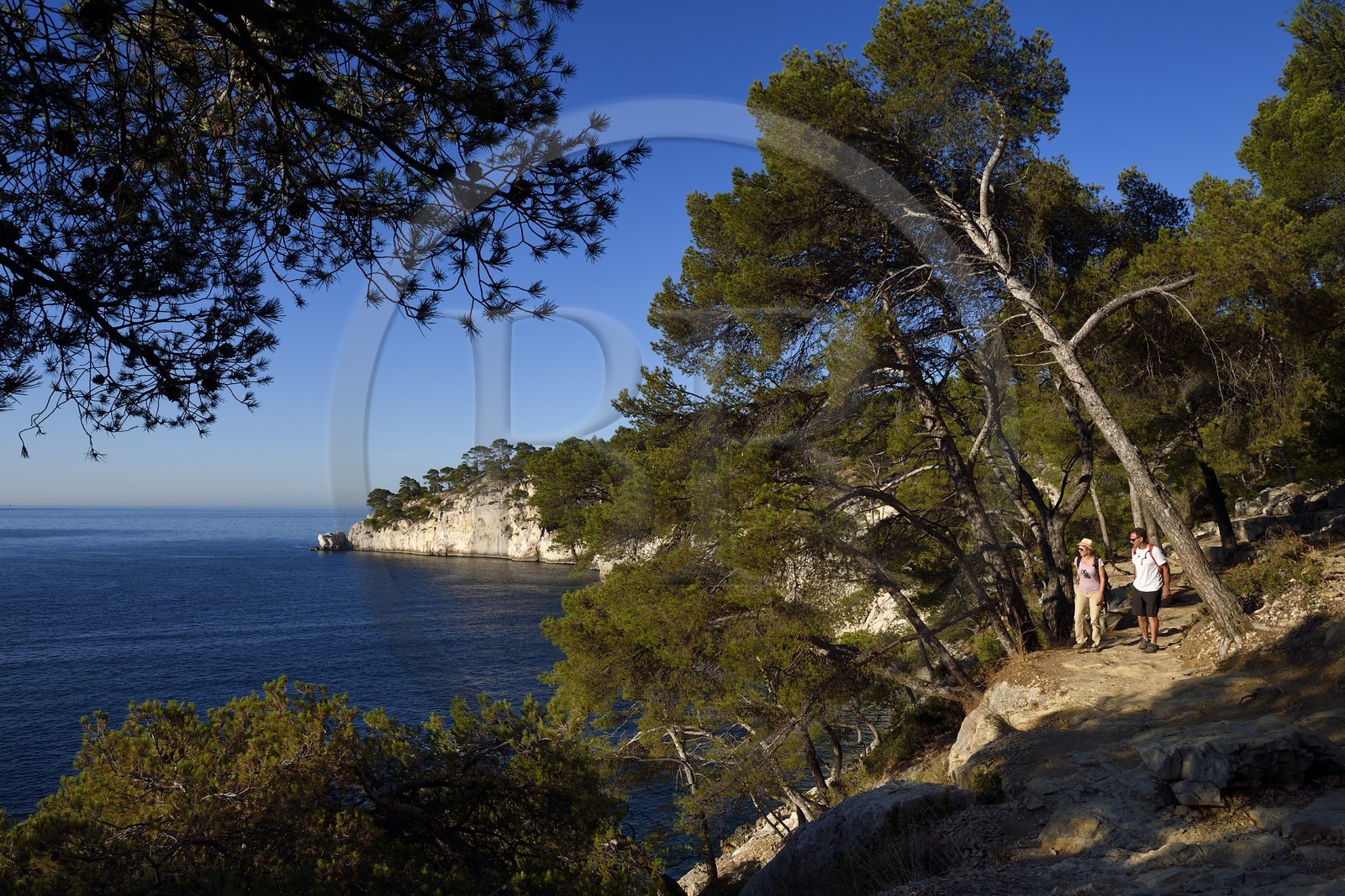 France, Bouches-du-Rhône (13), Marseille, Parc national des Calanques, Calanque de Port-Pin, André Bernard fondateur du bureau des guides de Cassis en randonnée (demande d'autorisation nécessaire avant publication)