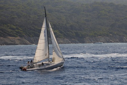 France, Var, Iles d'Hyeres, National Park of Port Cros, ile de Porquerolles, sailing boat