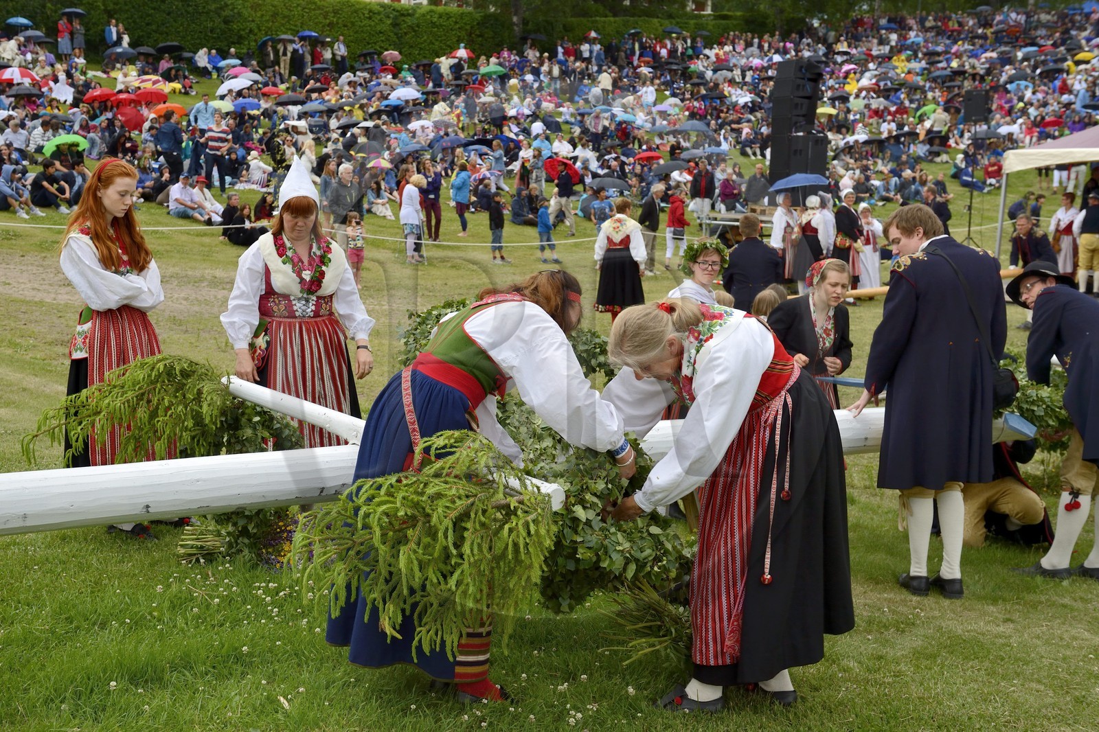 Sweden, Dalarna County, the most popular in Sweden Leksand midsummer celebrations, preparation of the maypole