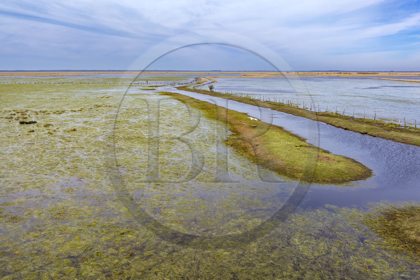 France, Loire-Atlantique (44), parc naturel regional de la Brière, Saint-Malo-de-Guersac, les marais de Brière  (vue aérienne)