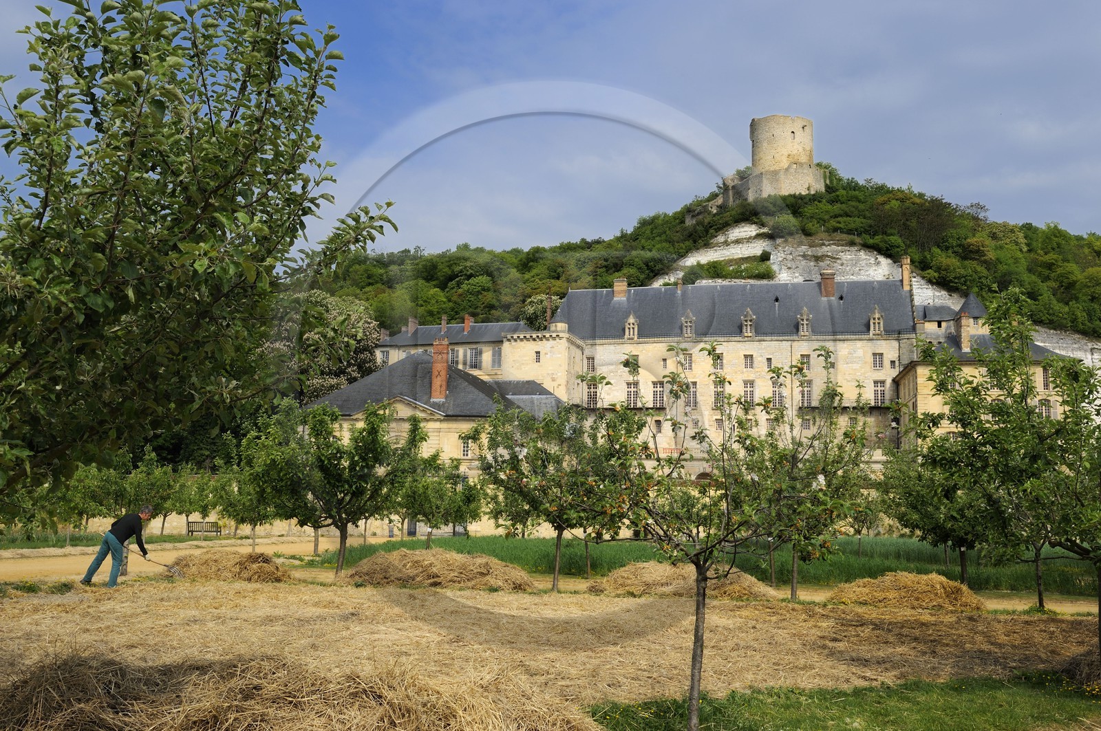 France, Val-d'Oise (95), parc naturel du Vexin français, la Roche-Guyon, labellisé Les Plus Beaux Villages de France, le château