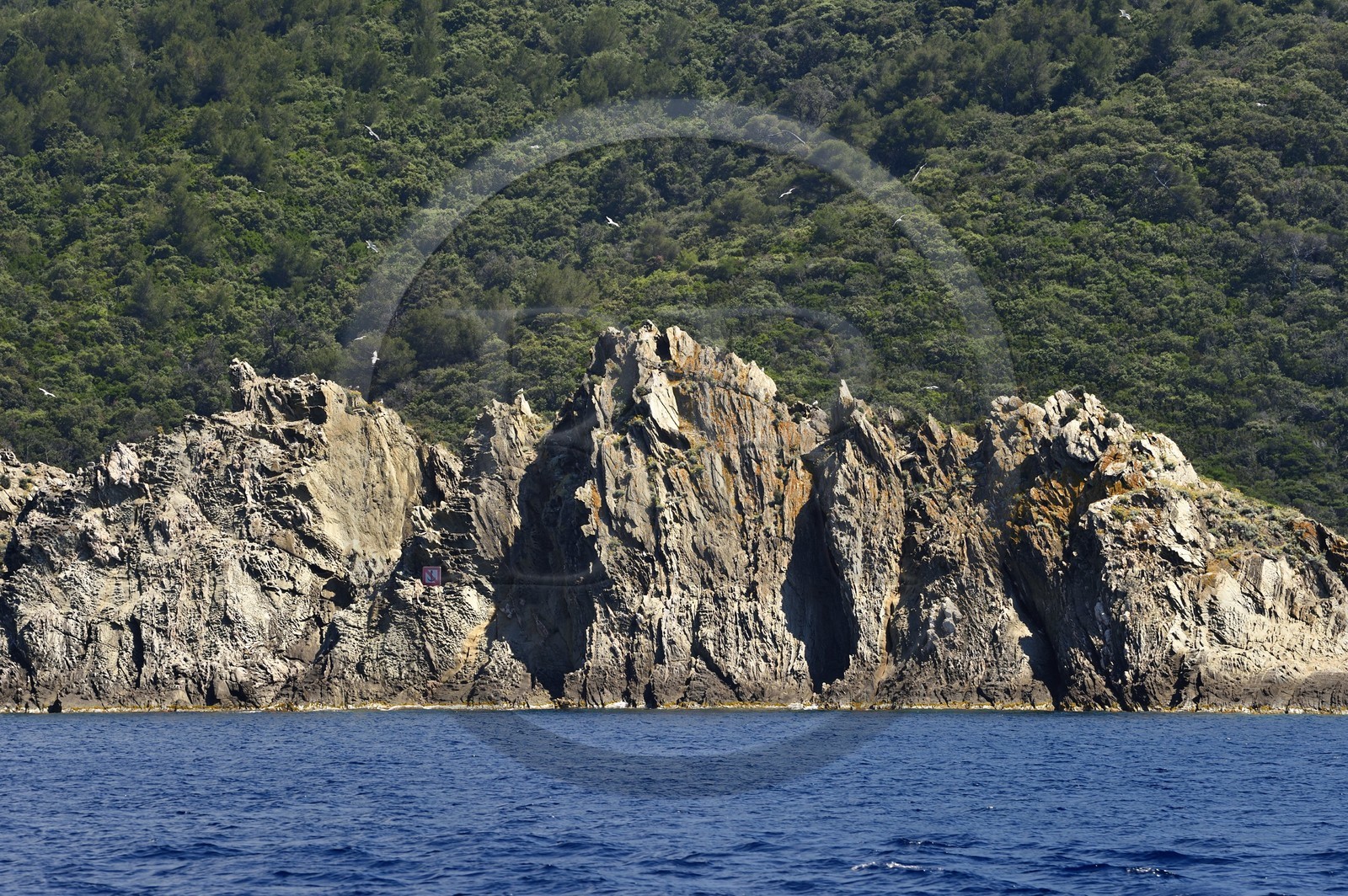 France, Var (83), Iles d'Hyères, Parc national de Port Cros, Ile de Port-Cros, plage de la Palud, le rocher du Rascas