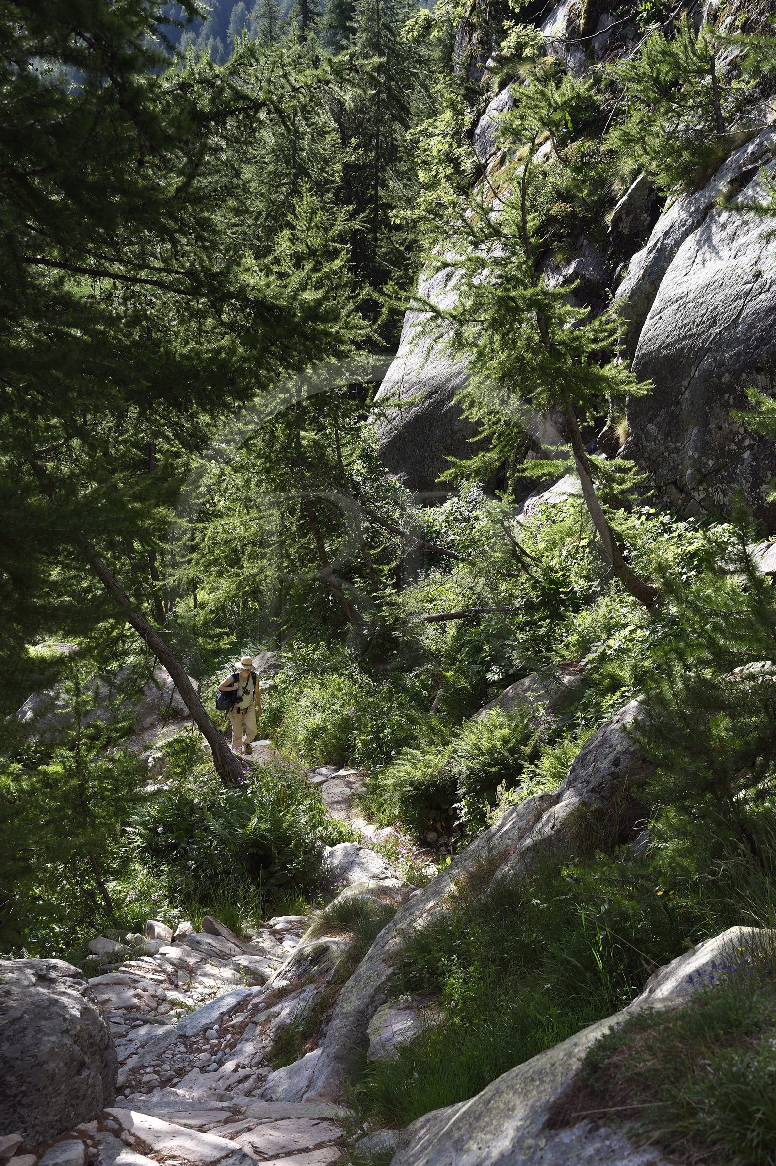 France, Alpes-Maritimes (06), parc national du Mercantour, vallon de la Minière en contrebas de la Vallée des Merveilles, sentier sur les pentes du Mont Bégo