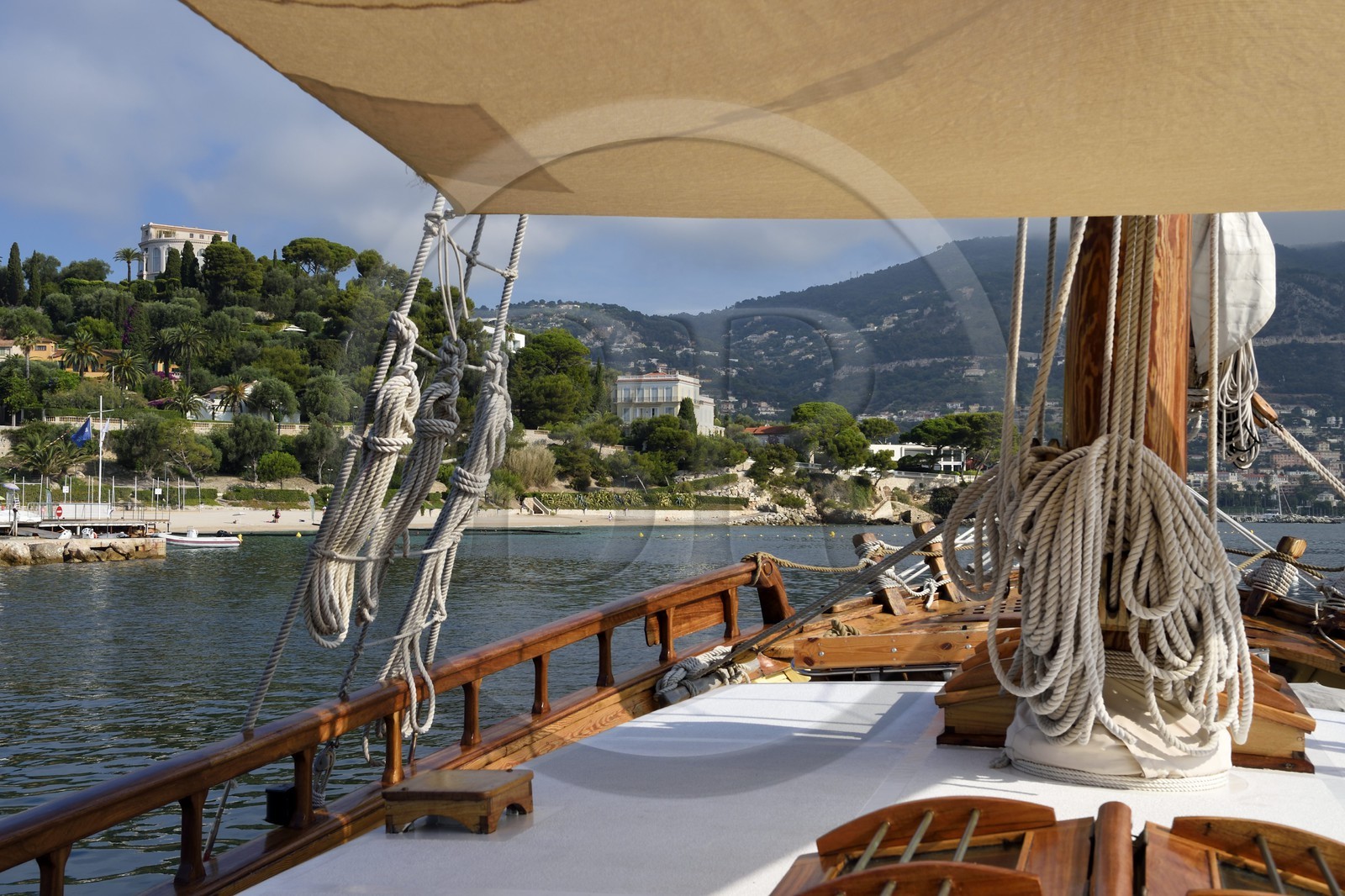 France, Alpes-Maritimes, Saint Jean Cap Ferrat port, sea trip on the Santo Sospir boat with the SOS Grand Bleu association for watching dolphins and whales in the Pelagos Sanctuary