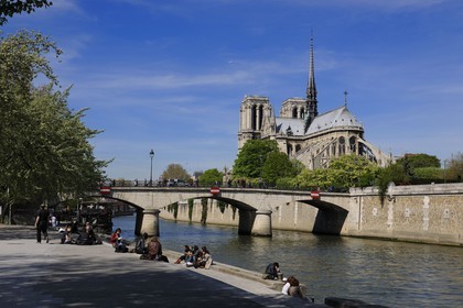 France, Paris (75), les rives de la Seine classées Patrimoine Mondial de l'UNESCO et la cathédrale Notre Dame sur l'île de la Cité depuis le quai de la Tournelle