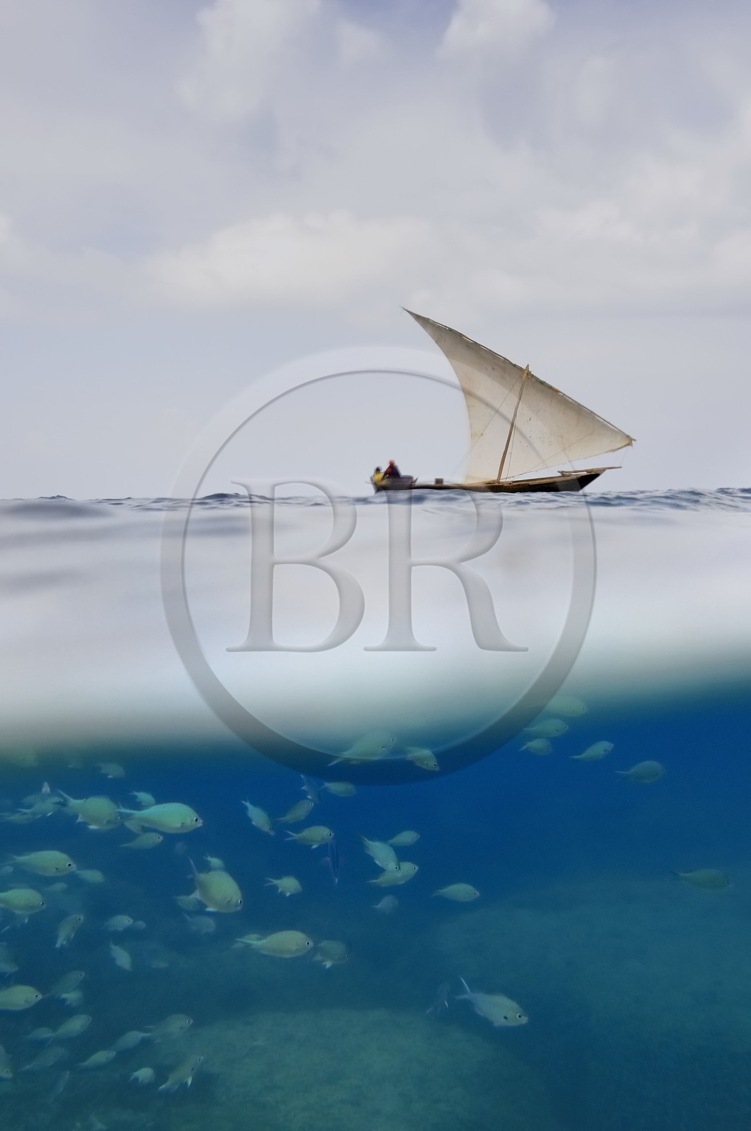 Tanzanie, archipel de Zanzibar, île de Unguja (Zanzibar), côte ouest, réserve naturelle de Chumbe Island Coral Park, un dhow (boutre traditionnel)