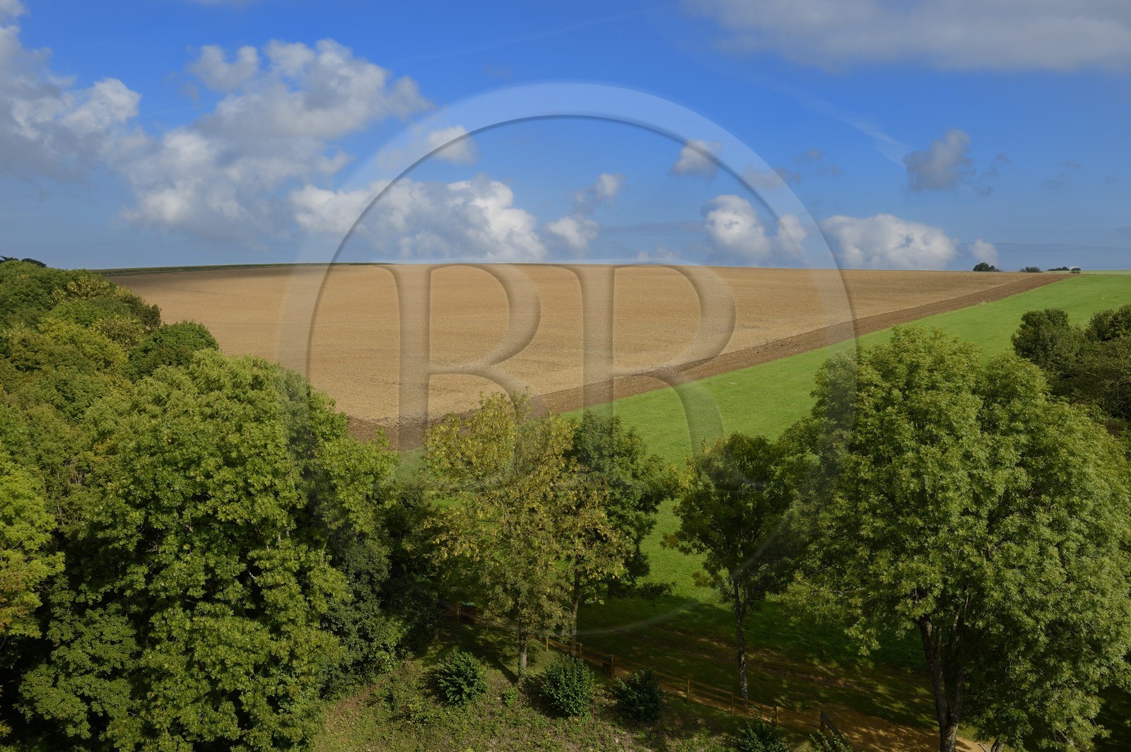 France, Moselle (57), la campagne lorraine à Manderen, frontalière avec la Sarre allemande et à quelques kilomètres du Luxembourg, la frontière est en haut de la colline