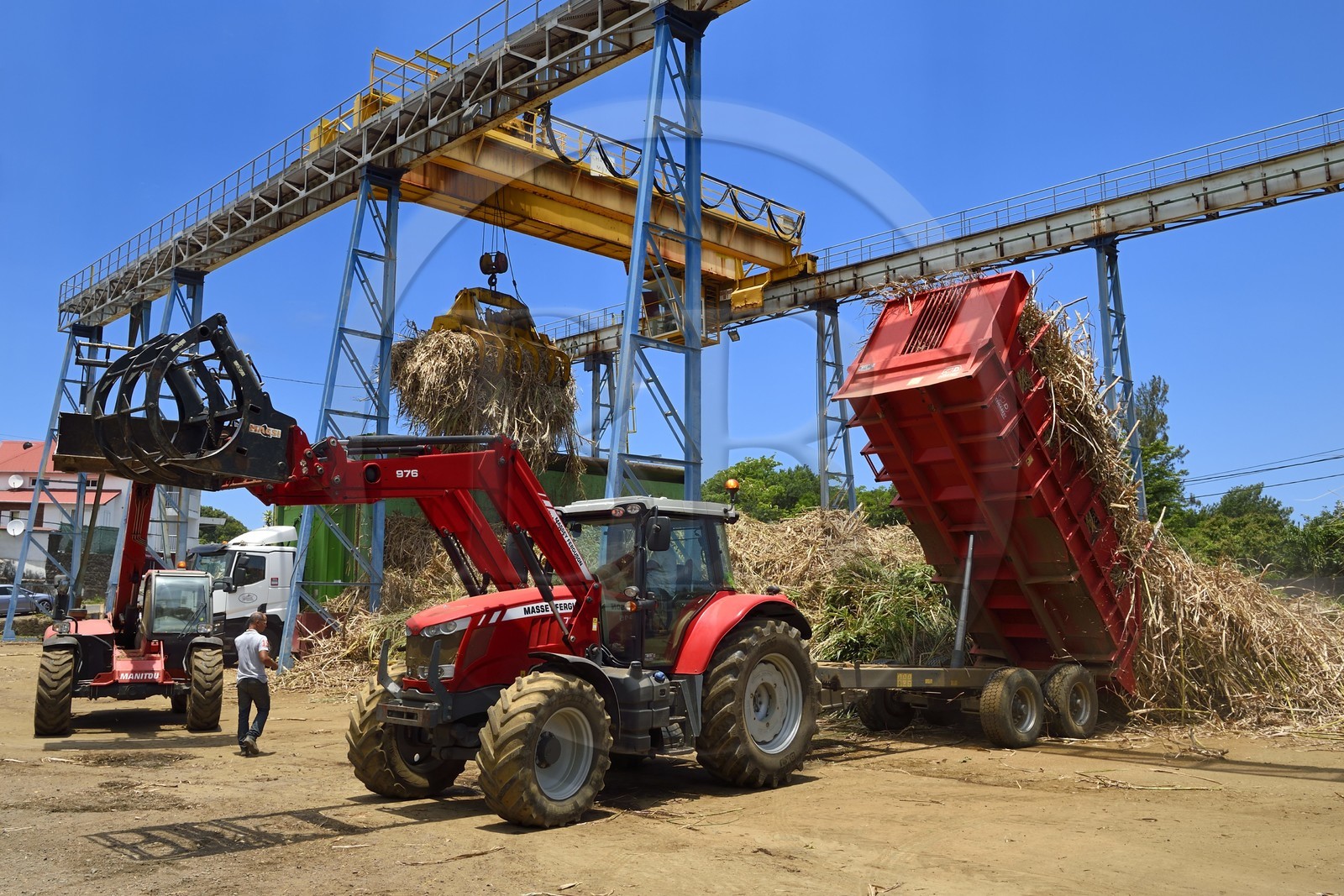 France, Ile de la Reunion, Saint-Joseph, un des 11 centres de réception et de collecte de la canne à sucre aussi appelés Balance, les tracteurs amènent depuis les champs la canne dans des remorques, elle est ensuite pesée et chargée dans de grand camions appelés cachalots pour être acheminée vers l'usine sucrière du Gol