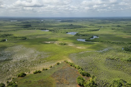 Gabon, Province de Ogooué-Maritime, zone marécageuse et rivières du Delta de l'Ogooué (vue aérienne)