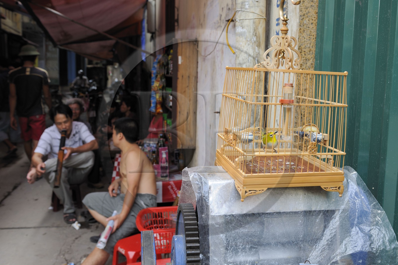 Vietnam, Hanoi, 36 streets district in the old town, bird in a cage and pipe smoker