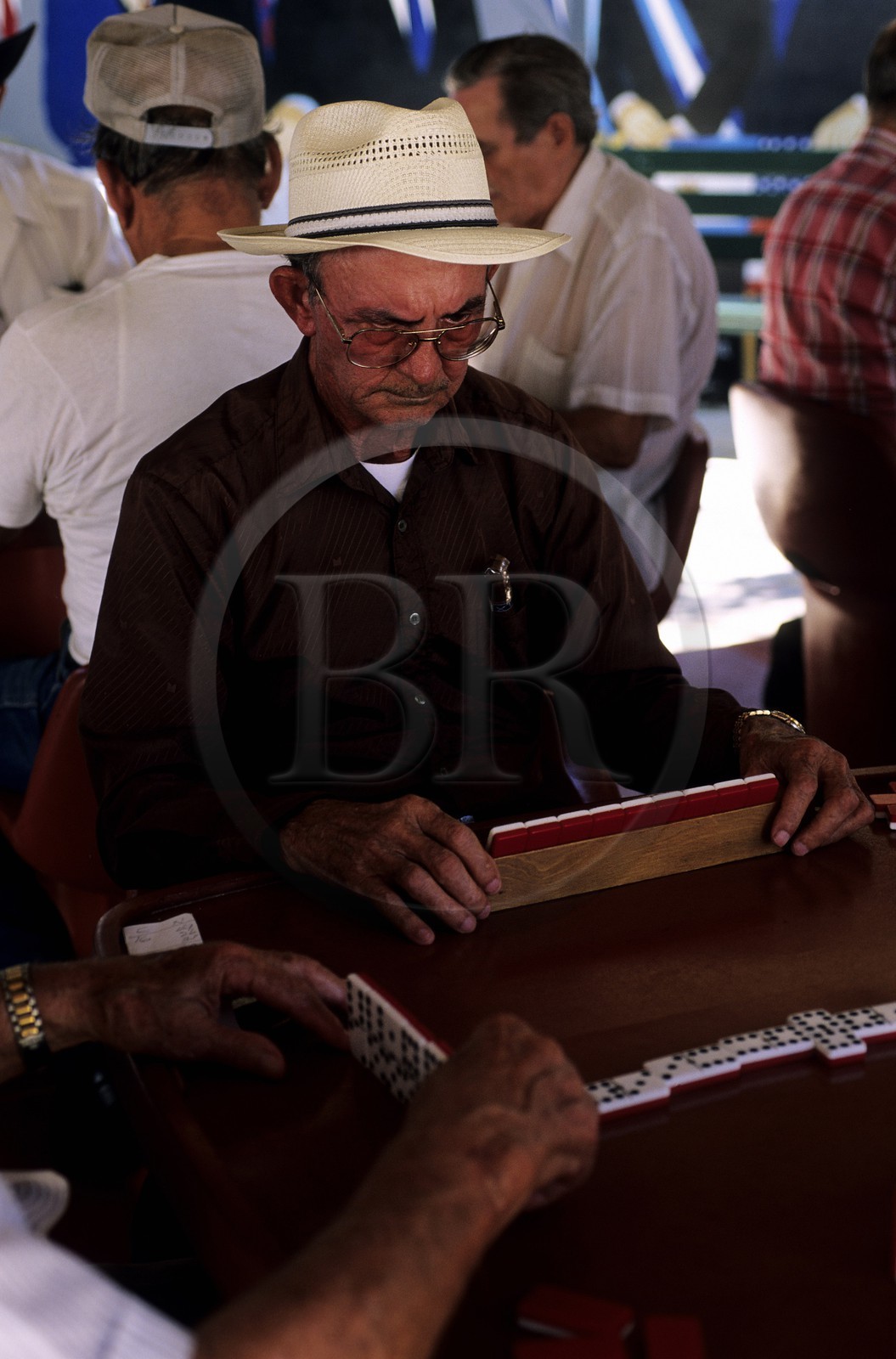 Etats-Unis, Floride, Miami, Little Havana, Calle Ocho, joueurs passionnés à Domino Park