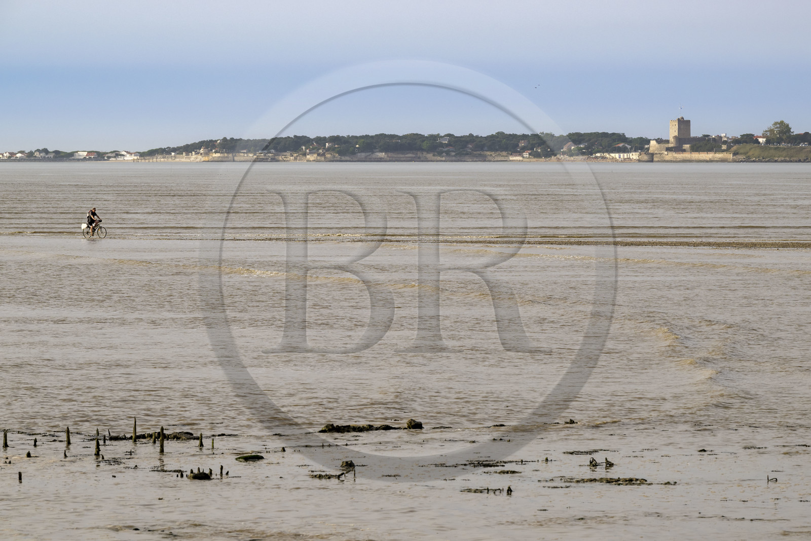 France, Charente Maritime, Port-des-Barques, cyclist using the Passe aux Boeufs tombolo which connects the continent to Ile Madame with rising tide in the background