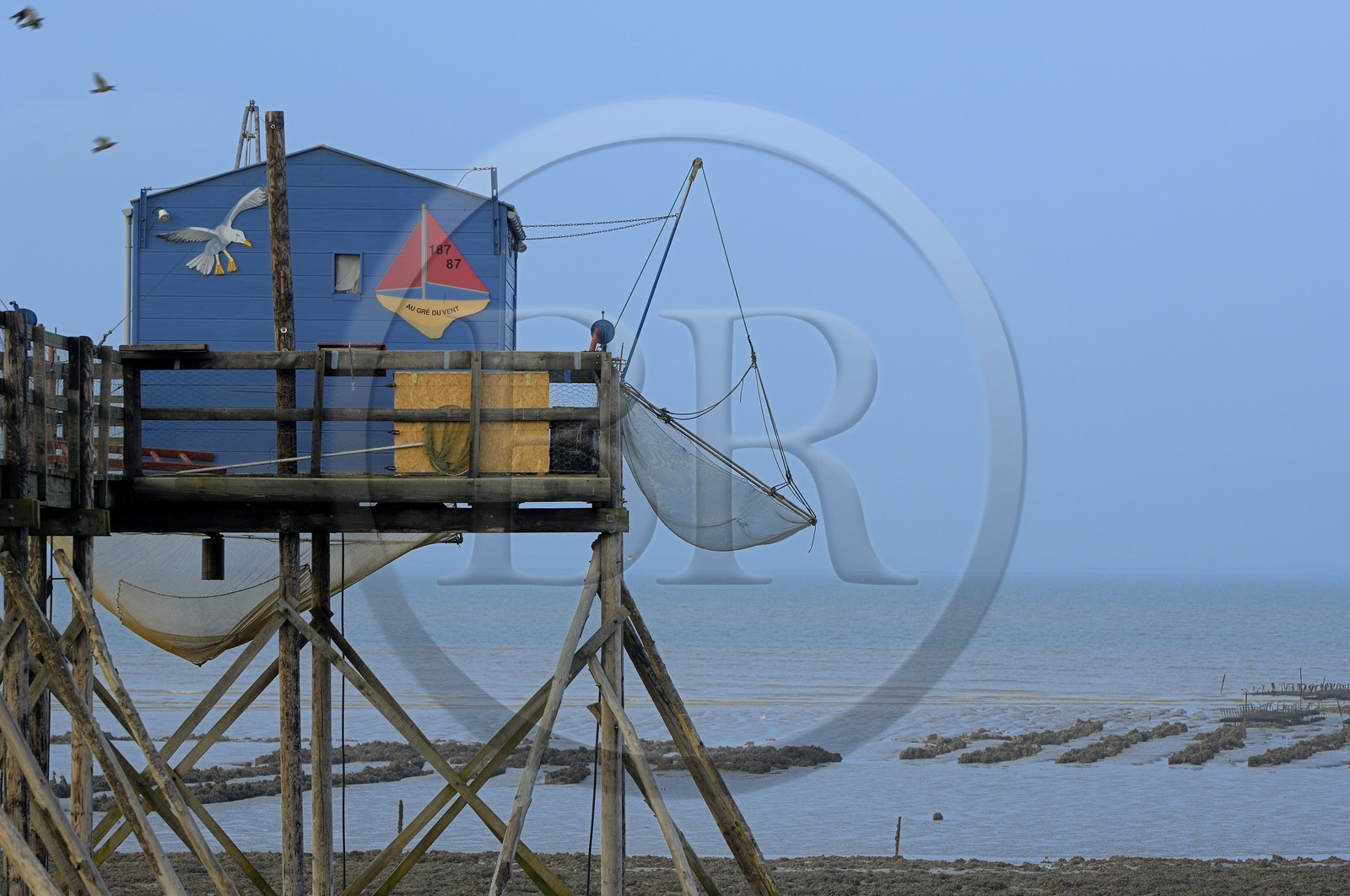 France, Charente-Maritime (17), Ile Madame, carrelets sur la côte