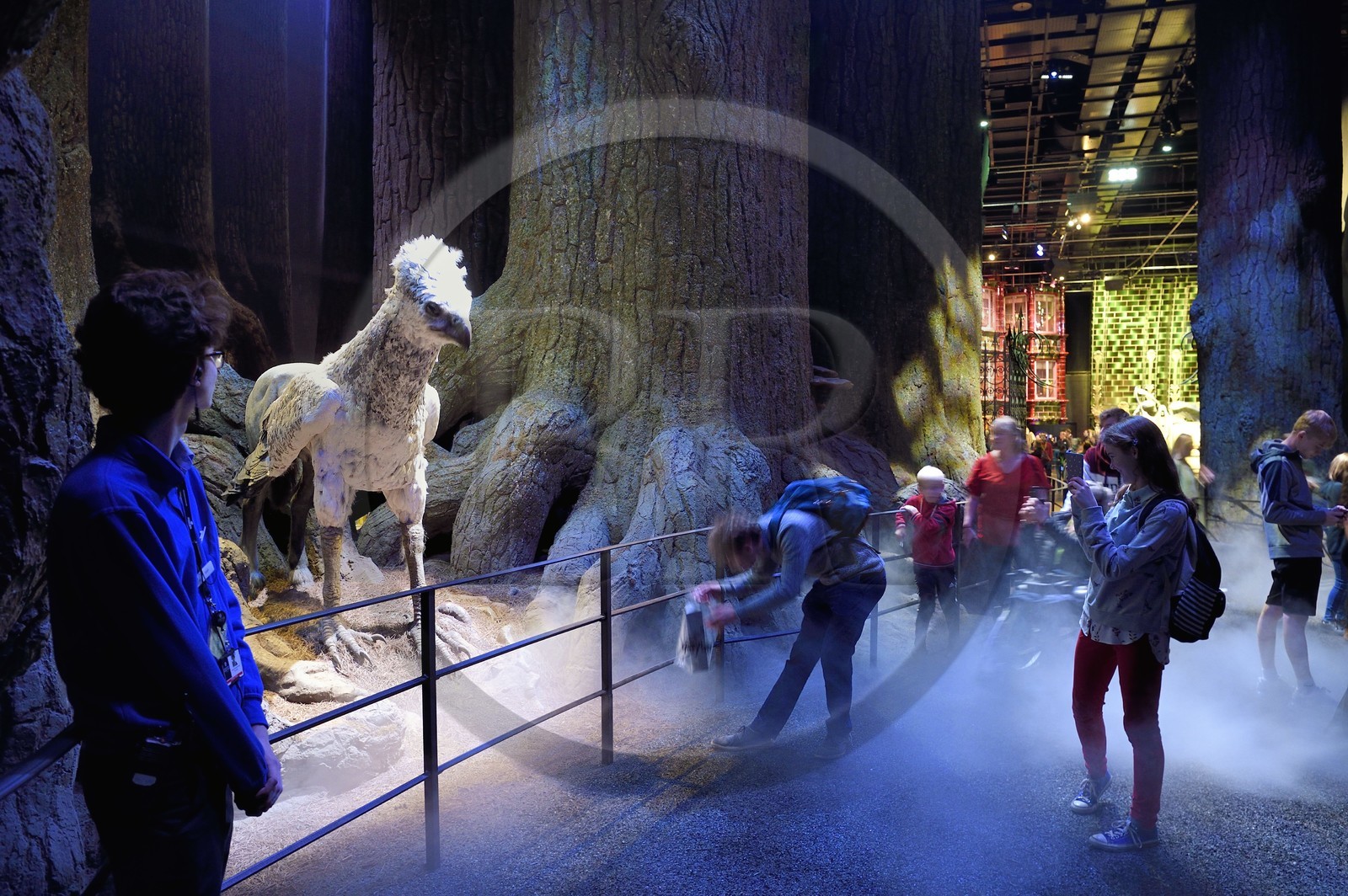 Royaume-Uni, Hertfordshire, Leavesden, Leavesden Film Studios, Harry Potter Studio Tour London, les coulisses du tournage des 8 films de Harry Potter, la mythique Forêt Interdite, Buck l’Hippogriffe