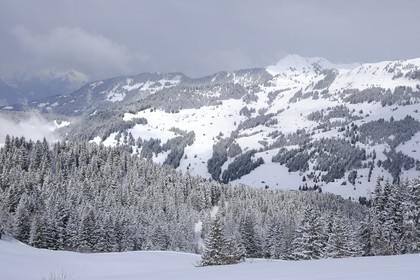 Switzerland, Canton of Vaud, Villars sur Ollon - Gryon ski area
