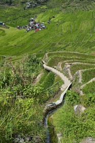 Philippines, province d'Ifugao, escalier du sentier qui serpente dans les rizières en terrasses de Banaue autour du village de Batad, classées Patrimoine Mondial de l'UNESCO