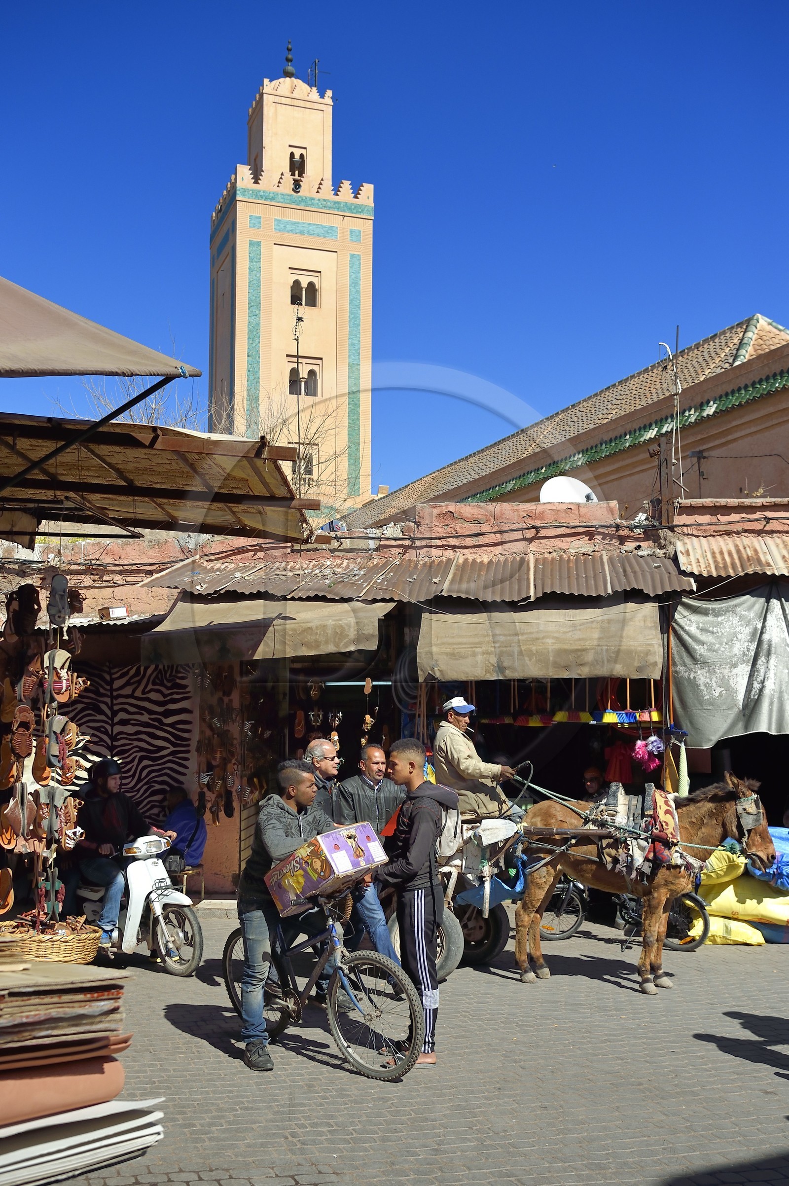 Maroc, Haut-Atlas, Marrakech, ville impériale, Médina classée Patrimoine Mondial de l'UNESCO,