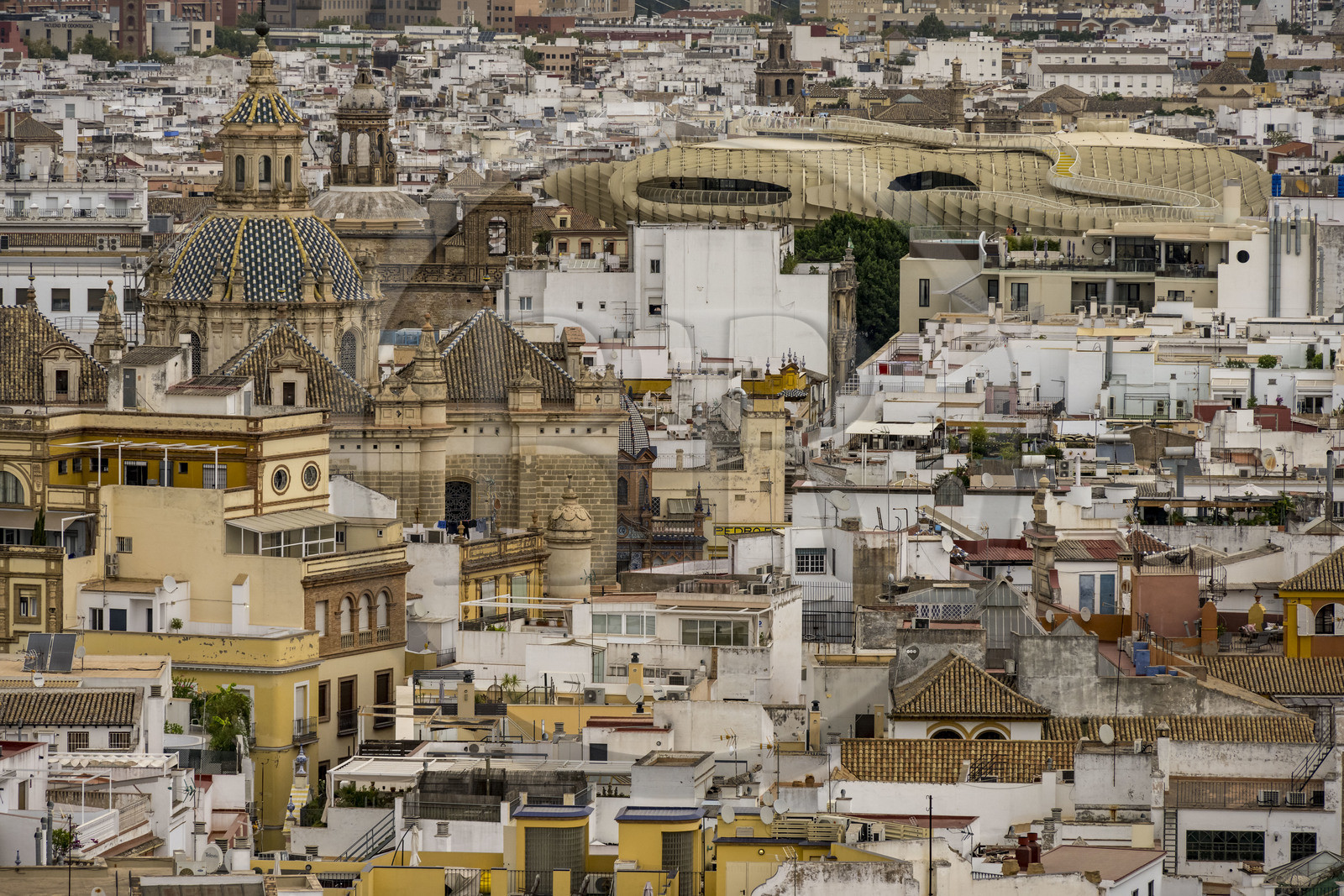 Espagne, Andalousie, Séville, Plaza de la Encarnacion - Plaza Mayor, Metropol Parasol (construit en 2011) et les toits de la vieille ville