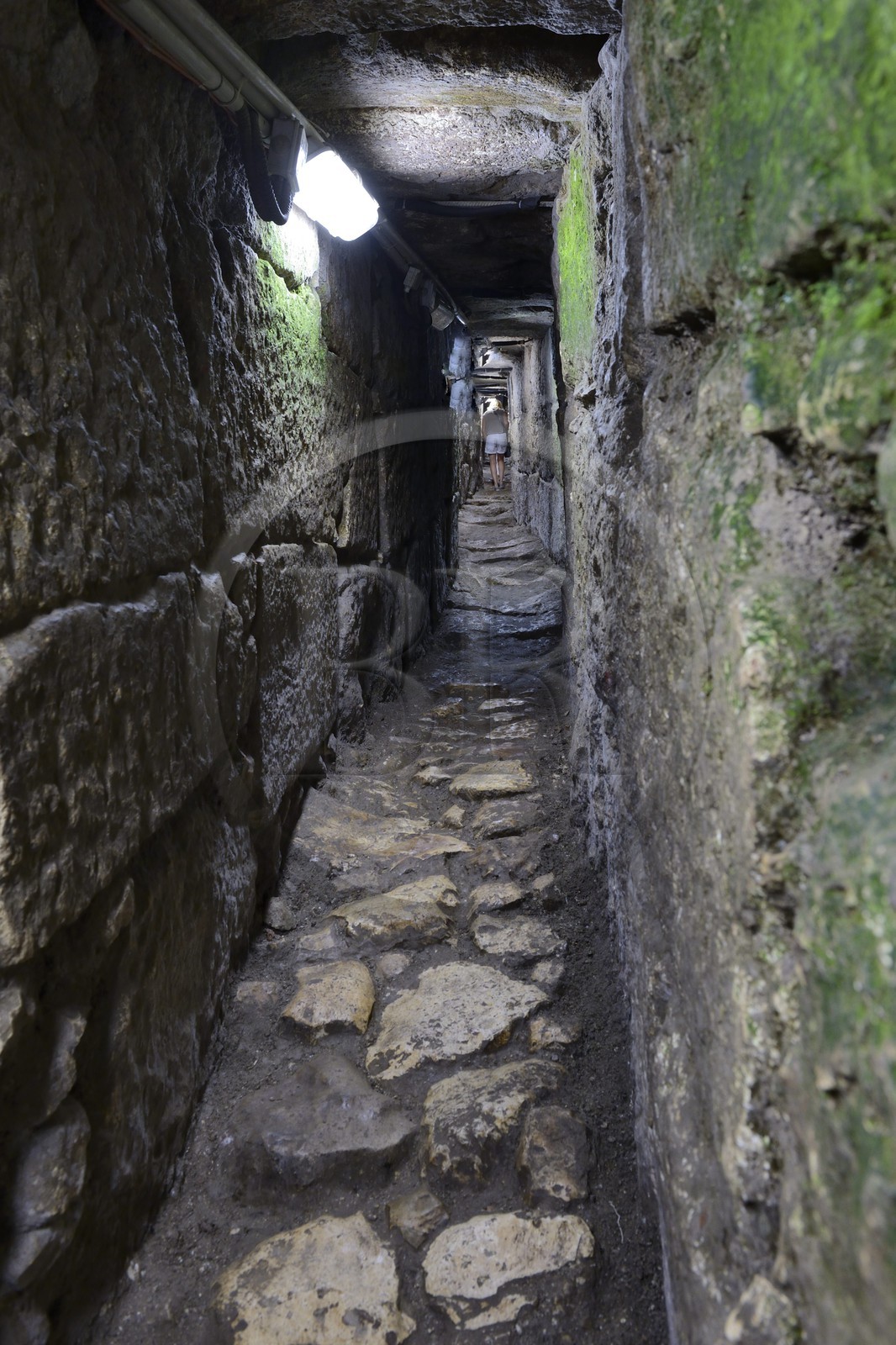 Israel, Jérusalem, ville sainte, la route en gradins  construite sous Herode 1er le Grand, chemin des pèlerins, allant du Mont du Temple à la piscine de Siloé