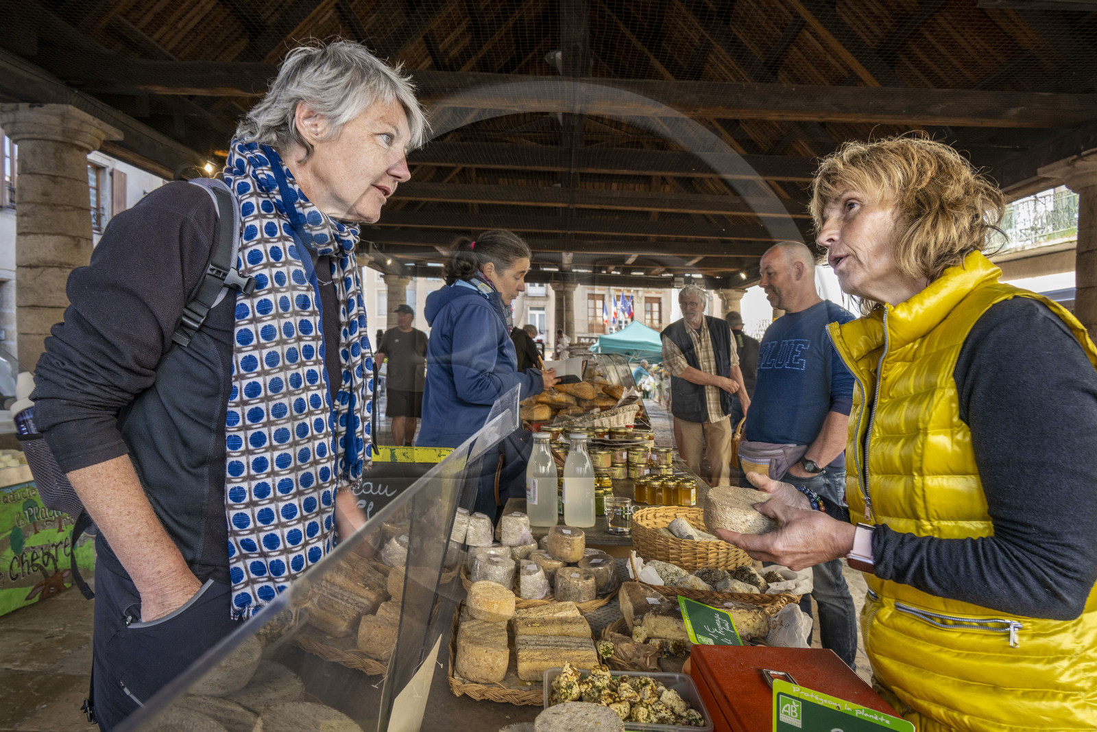 France, Lozère (48), Langogne, le marché sous la Halle aux grains, fromages fermiers bio au lait cru Lou Prat d'Estébé de Cathy et Michel Dupire