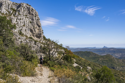France, Hérault (34), les Causses et les Cévennes, paysage culturel de l'agro-pastoralisme méditerranéen inscrit au Patrimoine Mondial de l'UNESCO, Montpeyroux, randonneurs sur le sentier GR 74 du Mont Saint Baudille en direction de Saint-Guilhem-le-Désert, le Pic Saint-Loup faisant face à l'Hortus en arrière plan