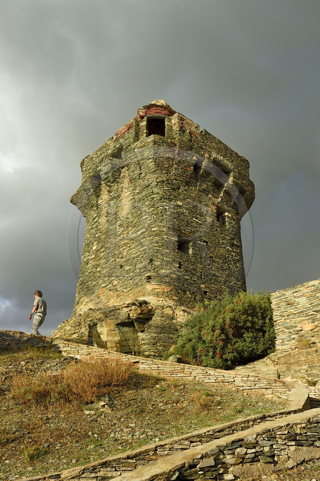 France, Haute Corse, Cap Corse, Nonza, the Paoline Tower (Torra paolina)