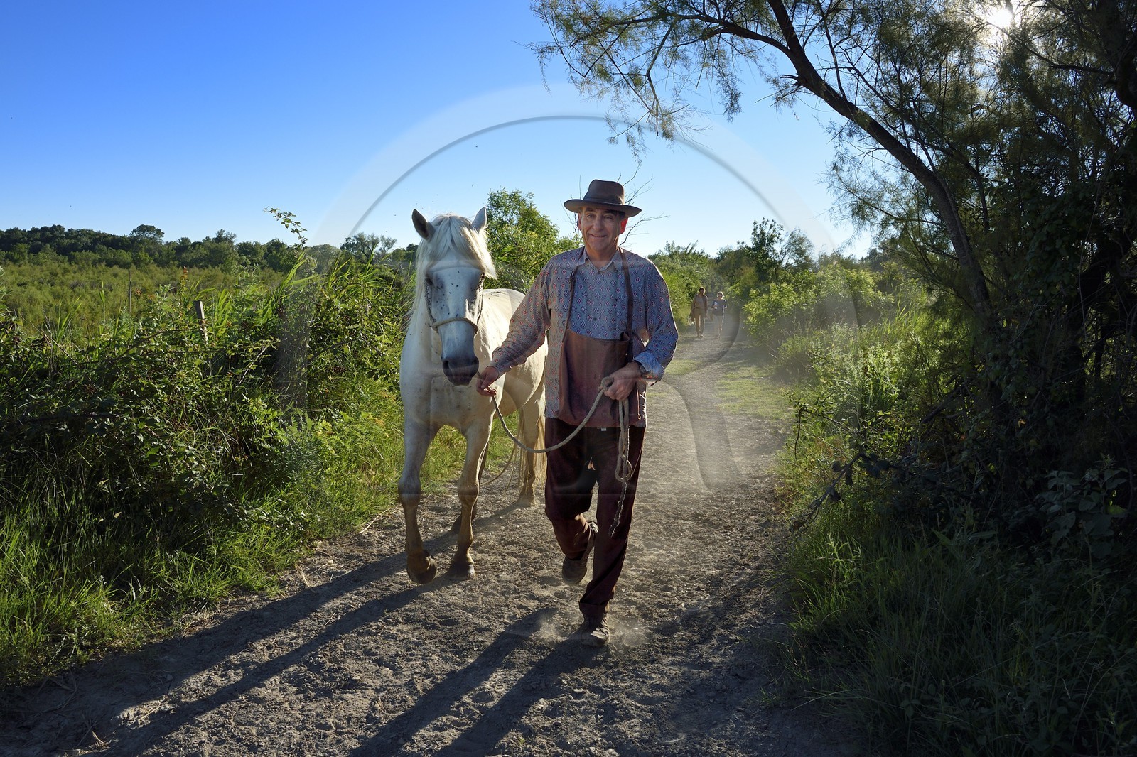 France, Bouches du Rhone, Parc naturel regional de Camargue (Regional Natural Park of Camargue), Mas du Menage, manade Saint Antoine (Cauzel), the gardian Régis Blayrat