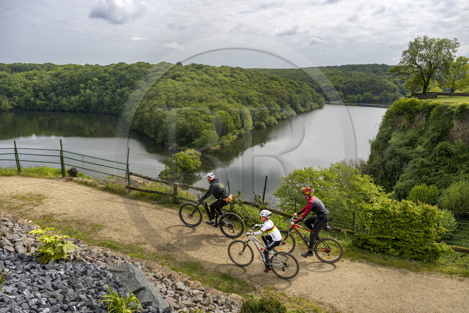 France, Vendée (85), Mervent, forêt de Mervent où les eaux des rivières la Mère et la Vendée se rejoignent, cyclistes sur la piste de la véloroute Vendée Vélo Tour