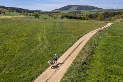 France, Haute-Loire (43), randonnée avec un âne sur le chemin de Stevenson (GR 70) entre Goudet et Ussel (vue aérienne)