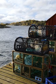 Sweden, Västra Götaland, Koster Islands, Sydkoster, Ekenäs port, lobster traps
