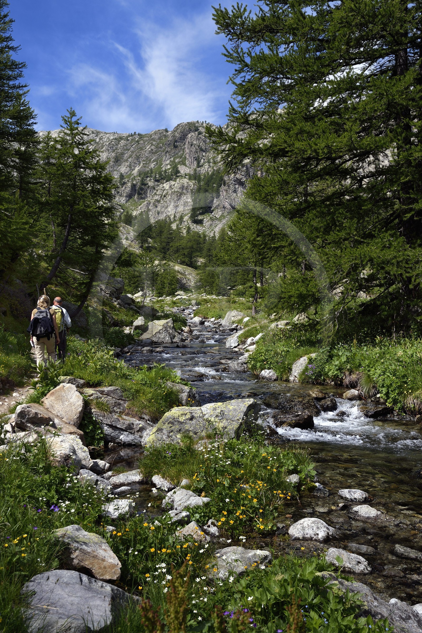 France, Alpes-Maritimes (06), parc national du Mercantour, randonneurs sur le sentier de randonnée de la vallée de la Valmasque et le verrou glaciaire en arrière plan
