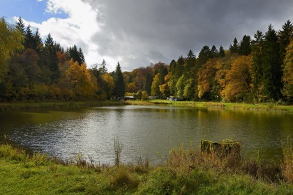 France, Meuse (55), Parc régional de Lorraine, Cotes de Meuse, Dommartin-la-Montagne, les Etangs de Longeau