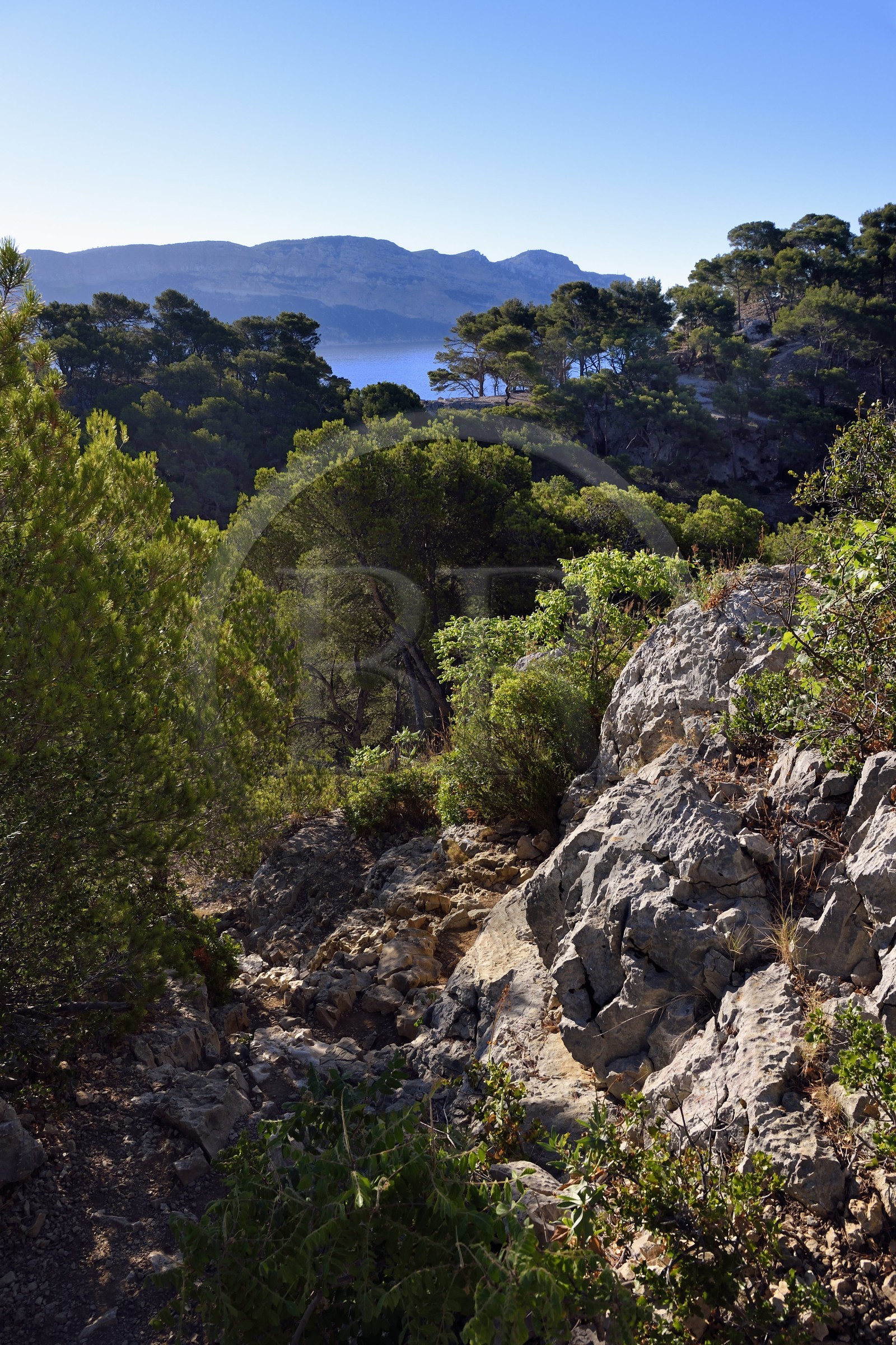 France, Bouches-du-Rhône (13), Cassis, Parc national des Calanques, Calanque de Port-Miou et les falaises du Cap Canaille en arrière plan (demande d'autorisation nécessaire avant publication)