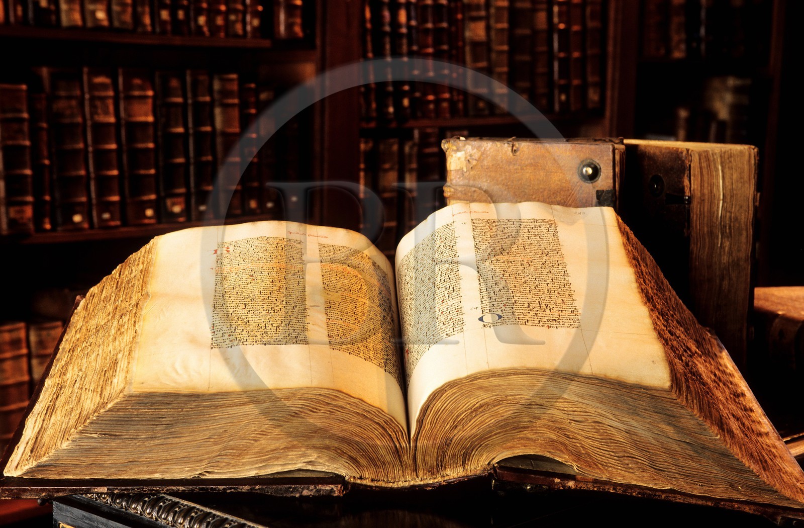 France, Bas-Rhin (67), Sélestat, livre ancien de la célèbre bibliothèque humaniste