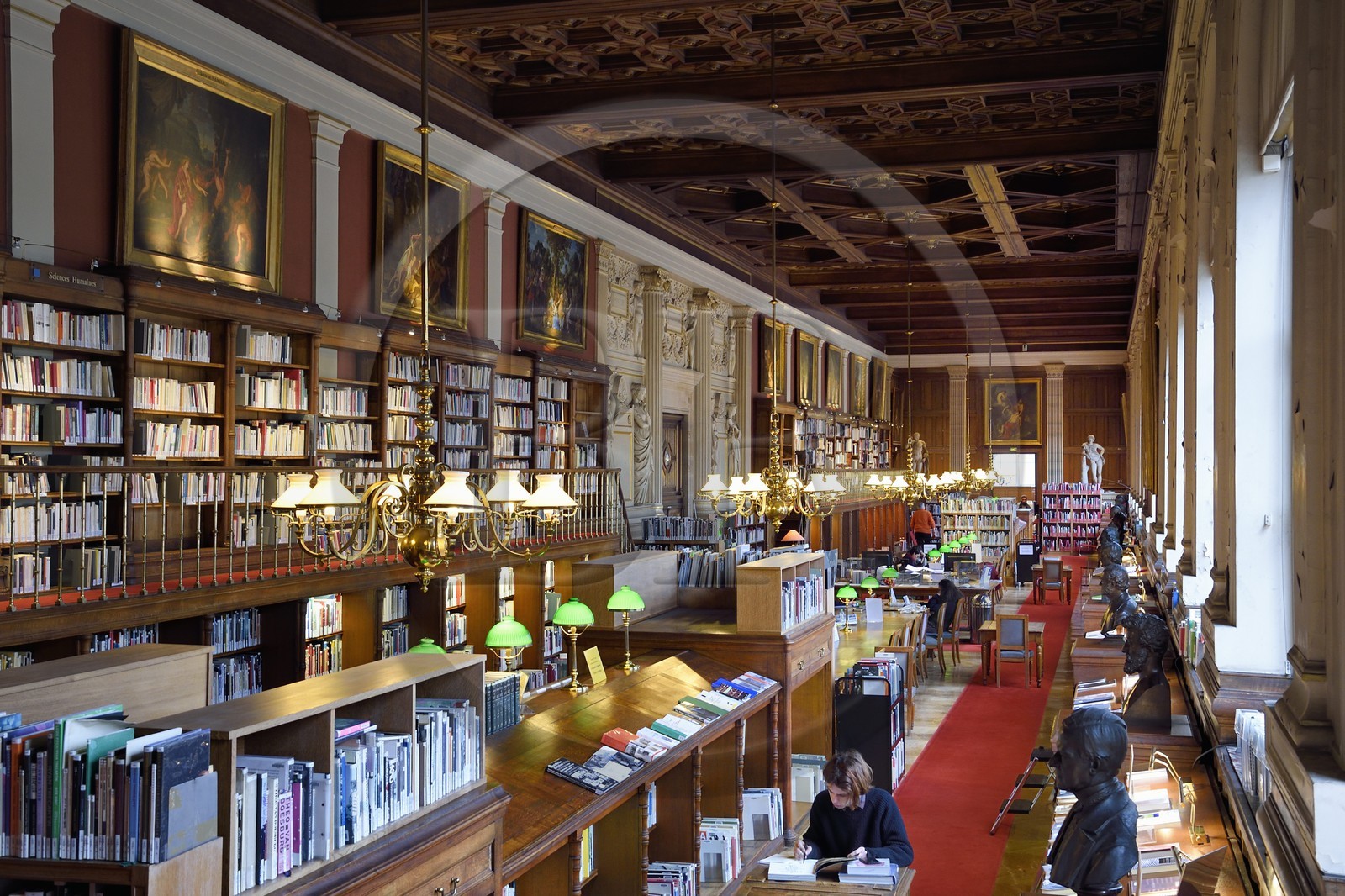 France, Paris (75), quartier de Saint-Germain-des-Prés, Ecole nationale supérieure des Beaux-Arts, la bibliothèque dans le Palais des Etudes