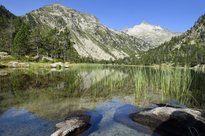 France, Hautes-Pyrénées (65), Saint-Lary-Soulan, Réserve naturelle nationale du Néouvielle, randonnée des lacs du Neouvielle, les Laquettes