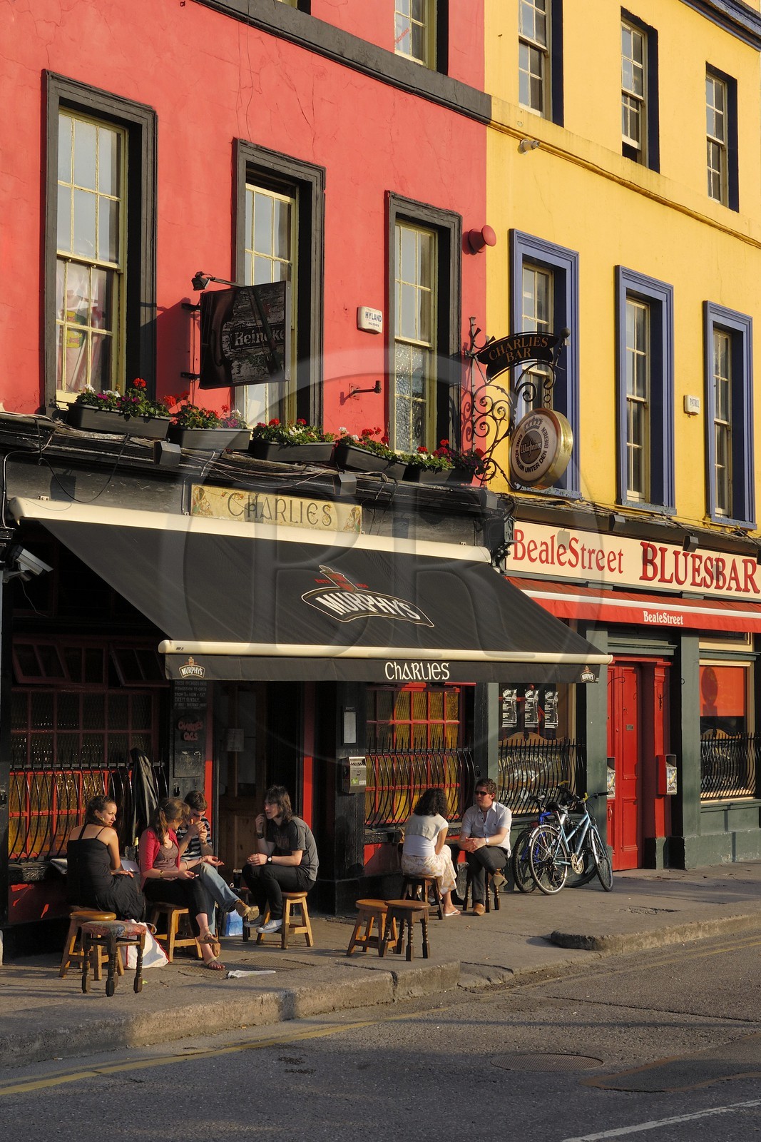 Irlande, Comté de Cork, Cork, pub Charlies