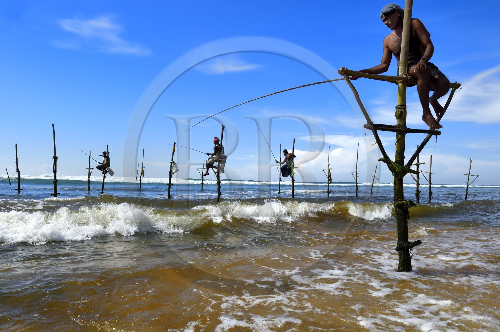 Sri Lanka, Province du Sud, région de Galle, plage de Midigama, pecheurs sur poteaux