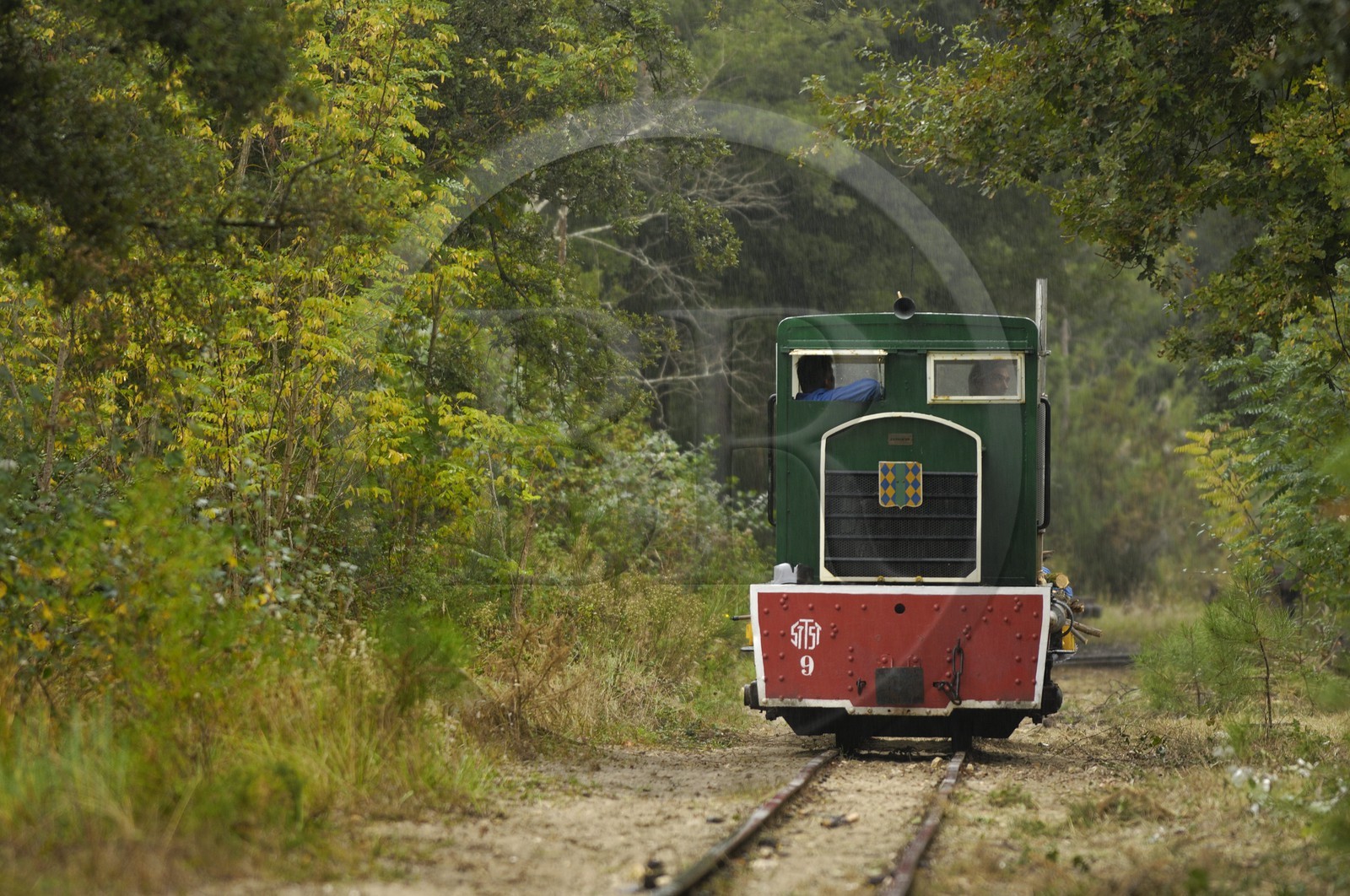 France, Charente-Maritime (17), Ile d'Oléron, pointe de Maumusson, petit train de Saint-Trojan-Les-Bains